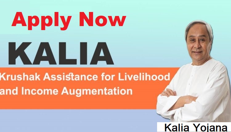 kalia-yojana